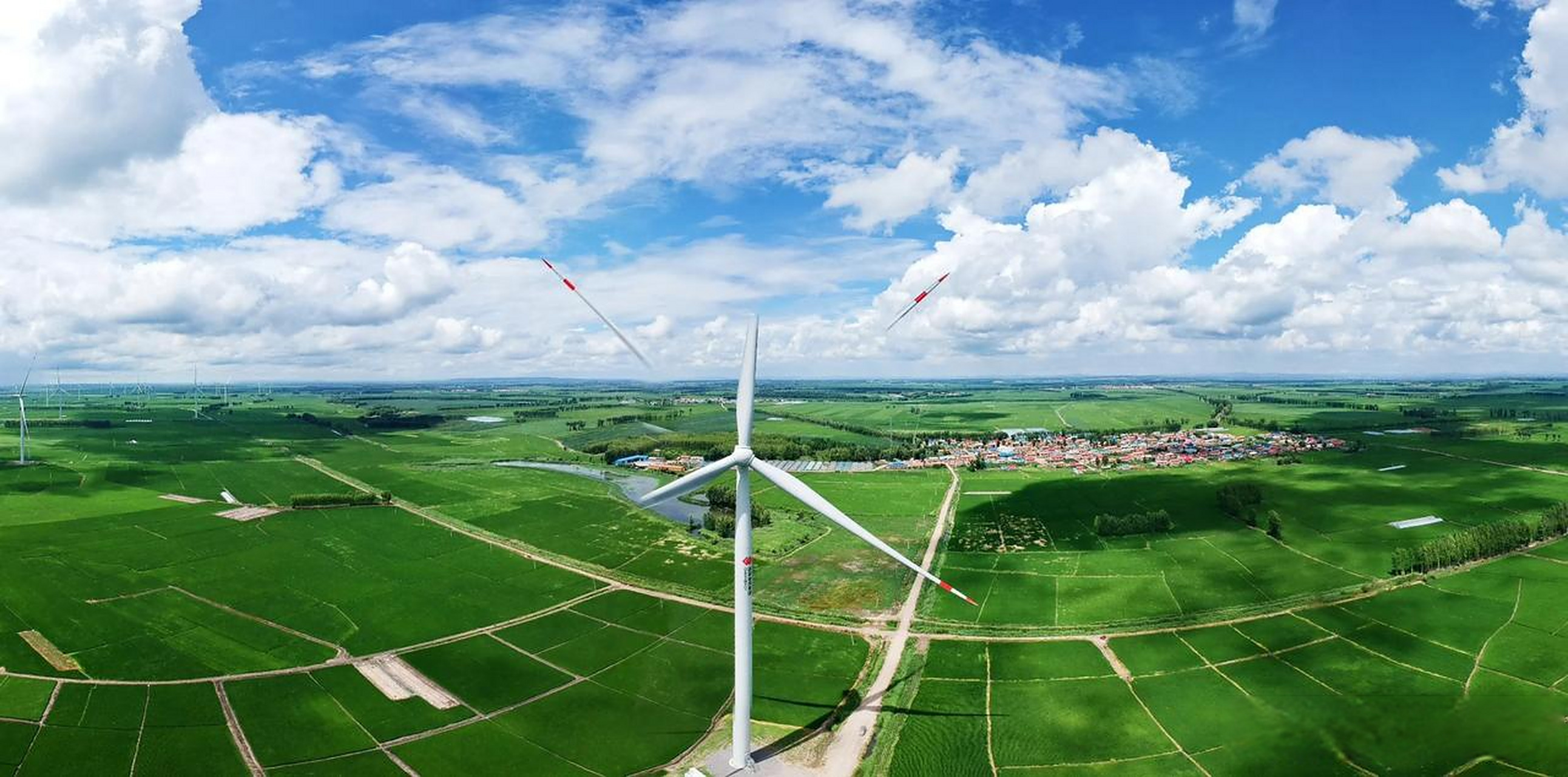 佳木斯桦南县乡村美丽风光,绿色稻田风景如画