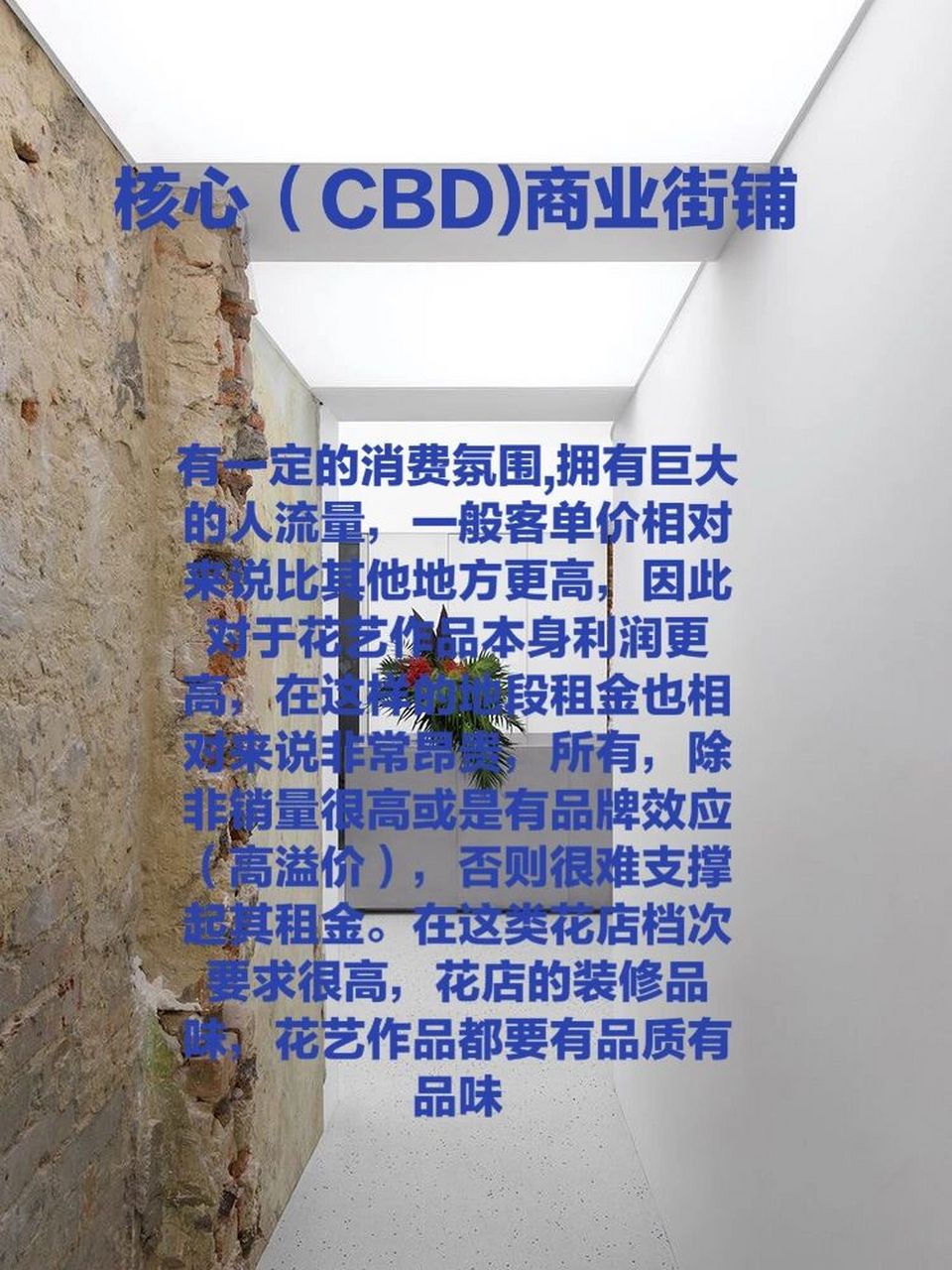 花店选址93新人开店必备,花店选址避坑指南 6015核心(cbd)商业