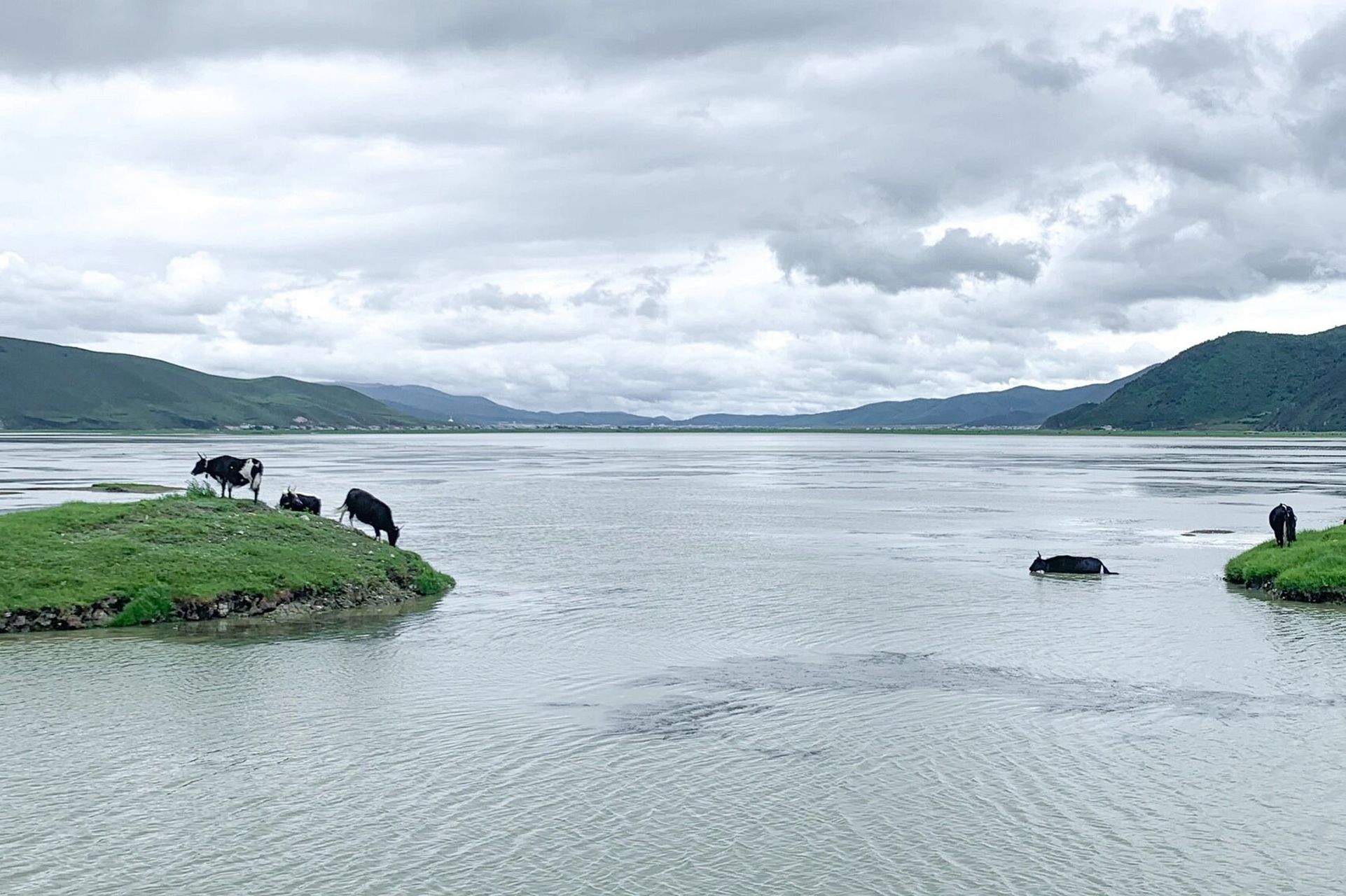 免费的纳帕海依拉草原别走错啦!