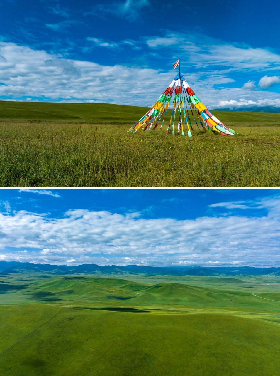 甘南体验感特别好的草原|美仁大草原  我特别喜欢,美仁草原,这里的