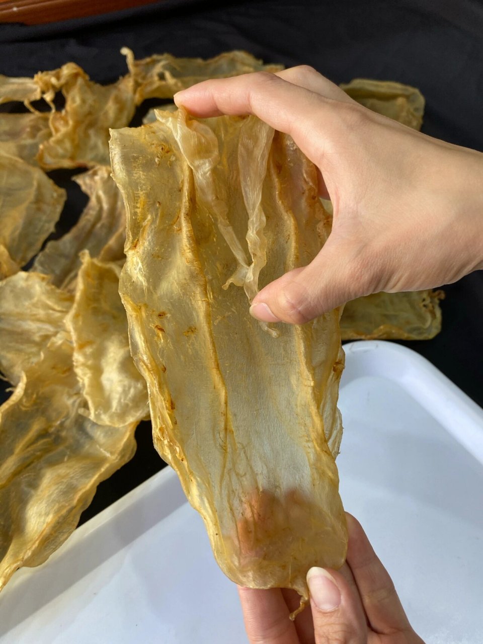 正宗北海金钱,不是北海大耳哦 北海金钱鳘鱼胶,两条长须,柔肉肉质,足