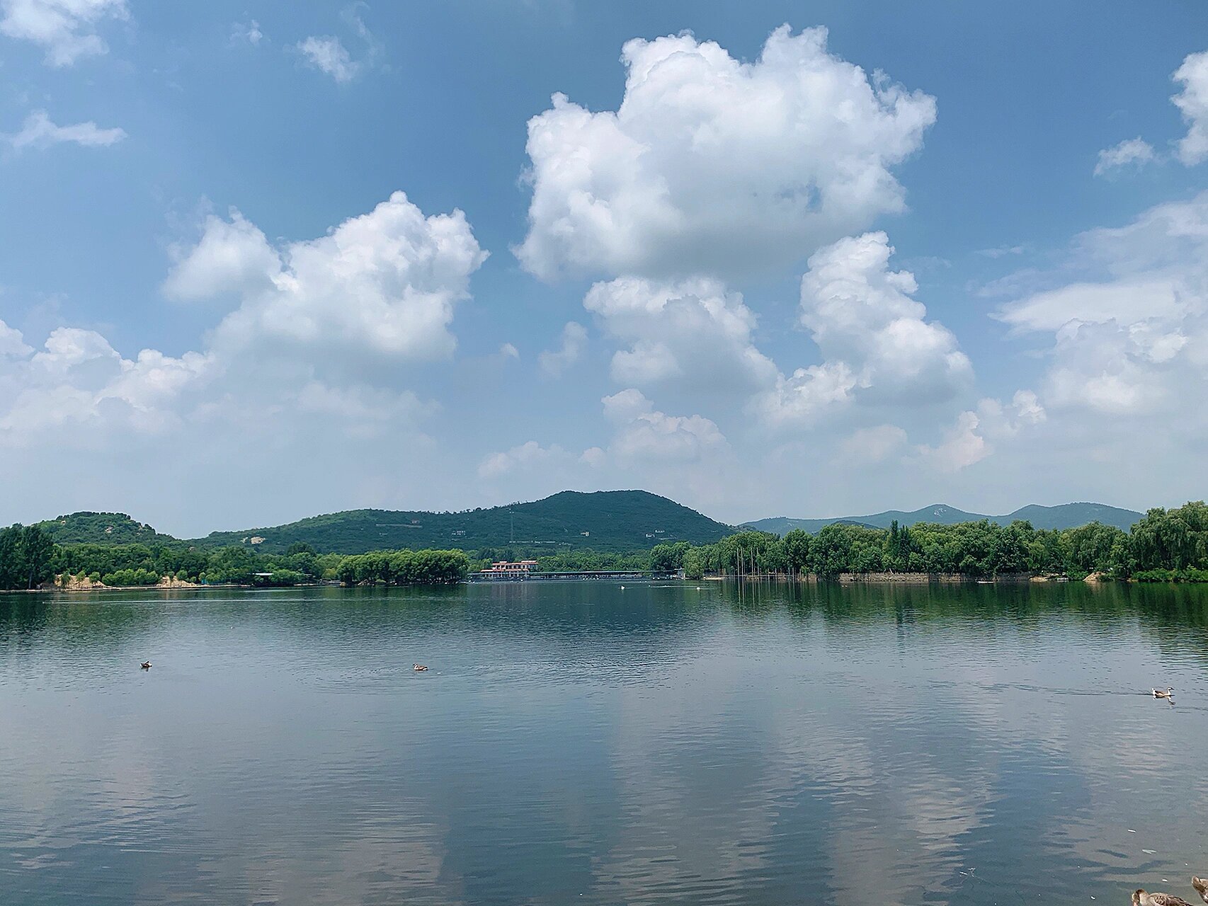 泰安天鹅湖景区我个人觉得性价比很高了 已经来过不知道多少次了 门票