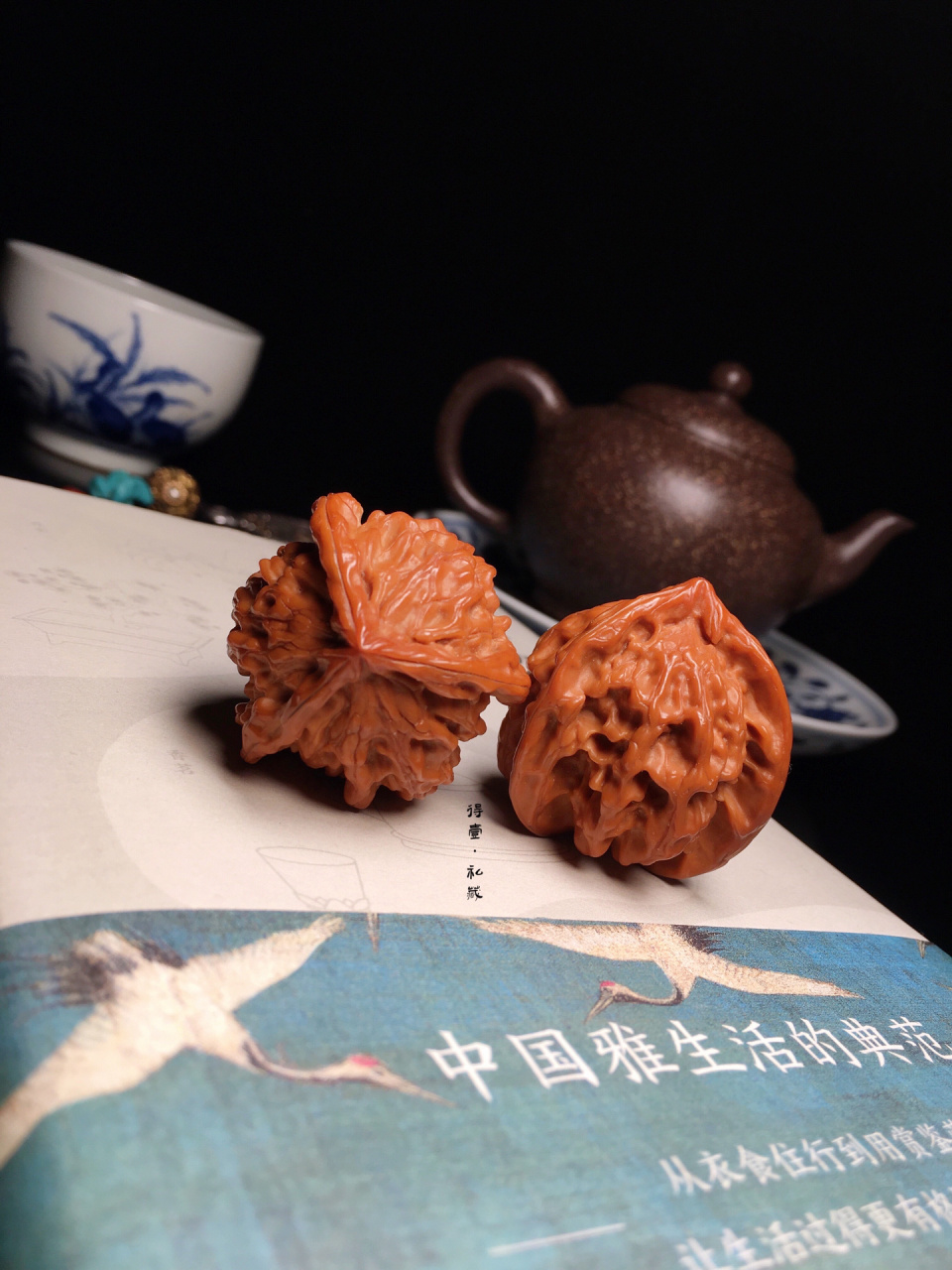 最亲民的三棱核桃·盘山公子帽三棱(老树)