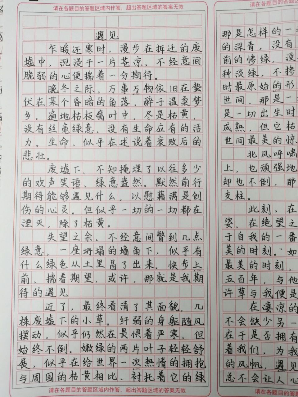 满分作文《遇见》 优秀作文范文摘抄 乍暖还寒时,漫步在拆迁的废墟中