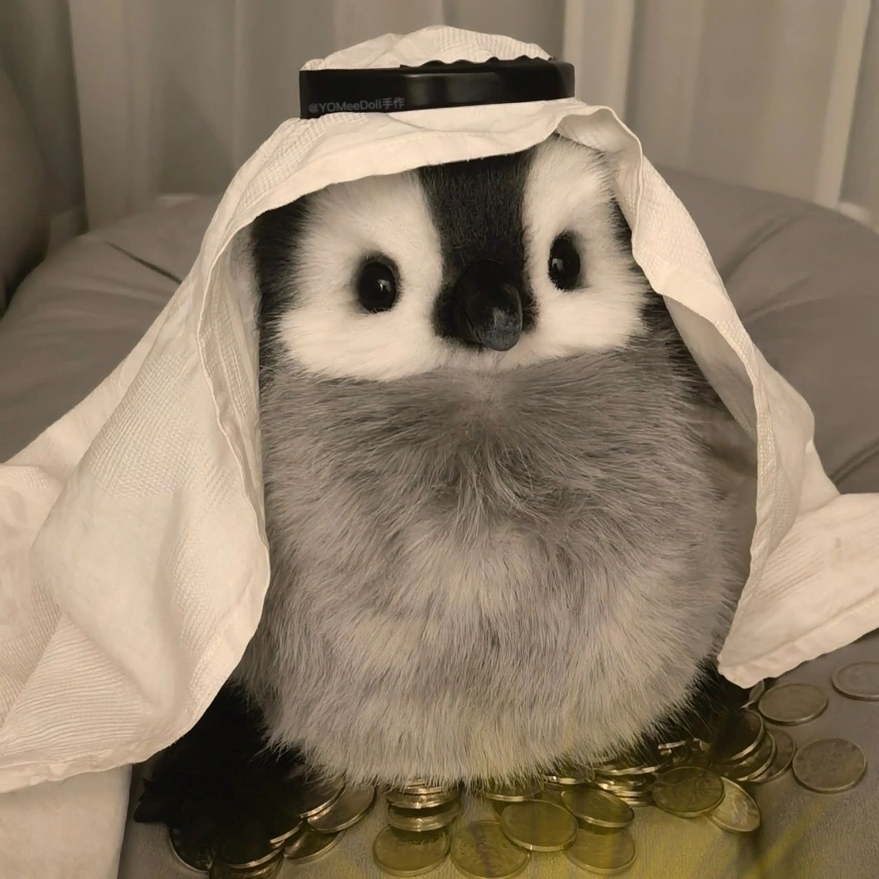 图片版 卡塔尔小企鹅 图片版来啦 头顶一块布 鹅届我最富 93"我换上