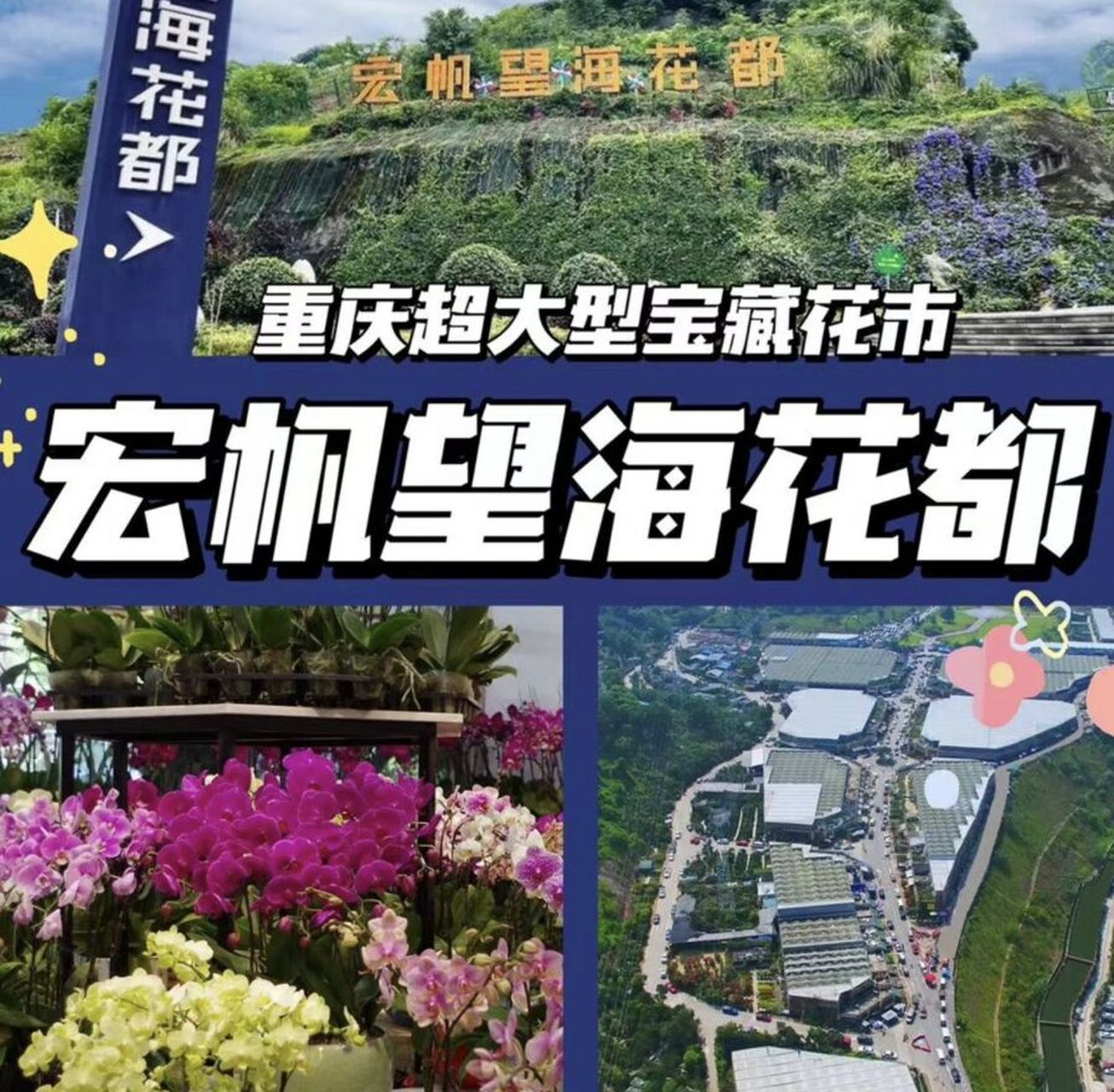 重庆最大的花市:江北宏帆望海花都 重庆最大的花市:江北宏帆望海花都