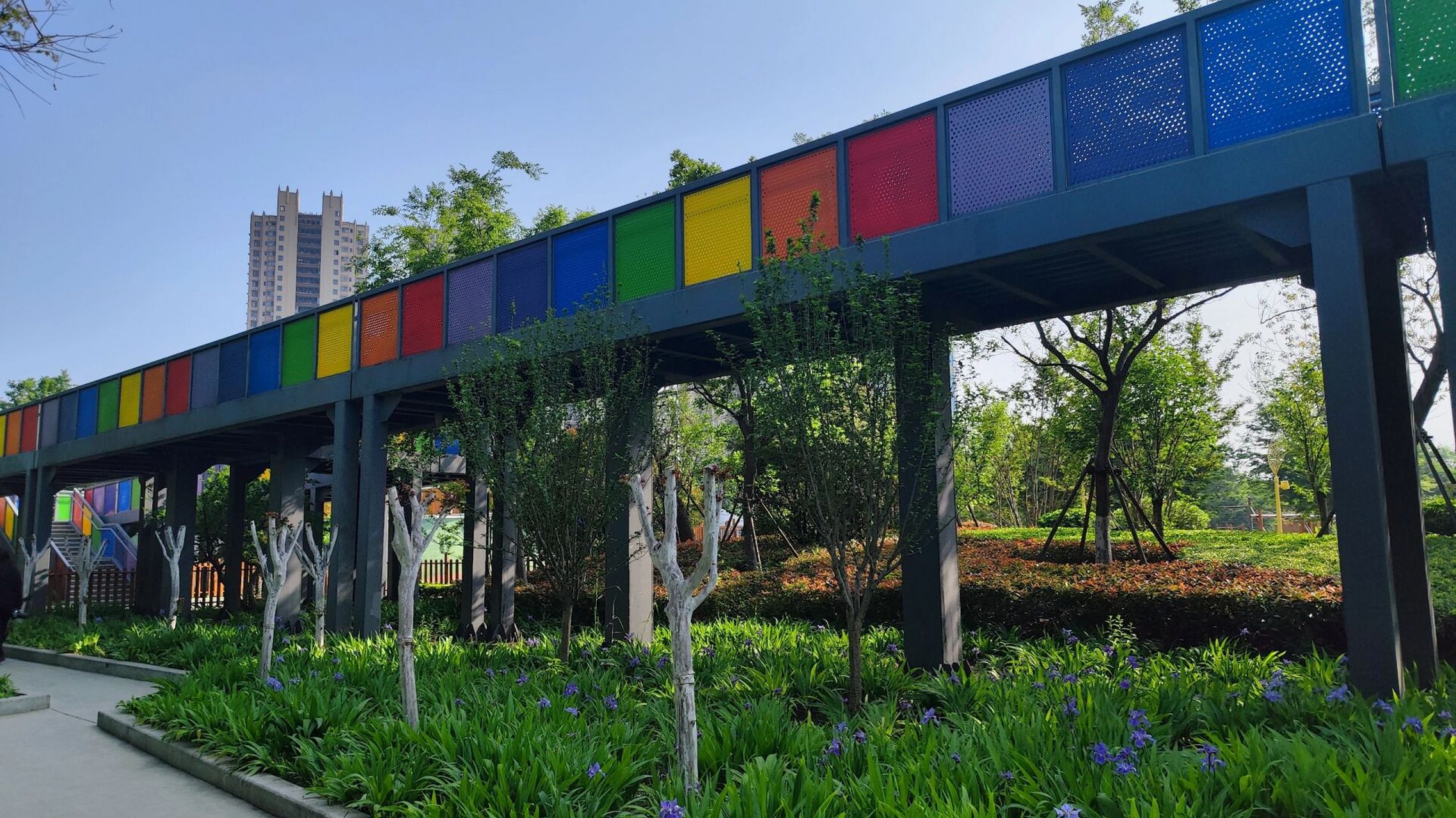 济宁市儿童乐园太美了吧 夏季的济宁儿童乐园,郁郁葱葱,勃勃生机,充满