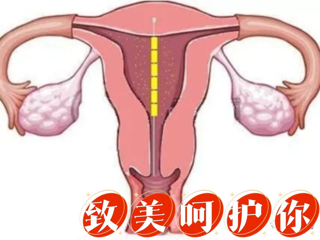 女神节到了