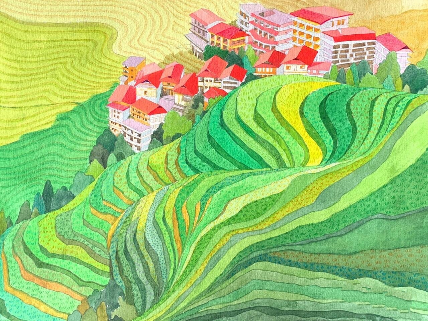 水彩手绘插画《梯田》 去年画的一幅手绘,喜欢柔软的绿