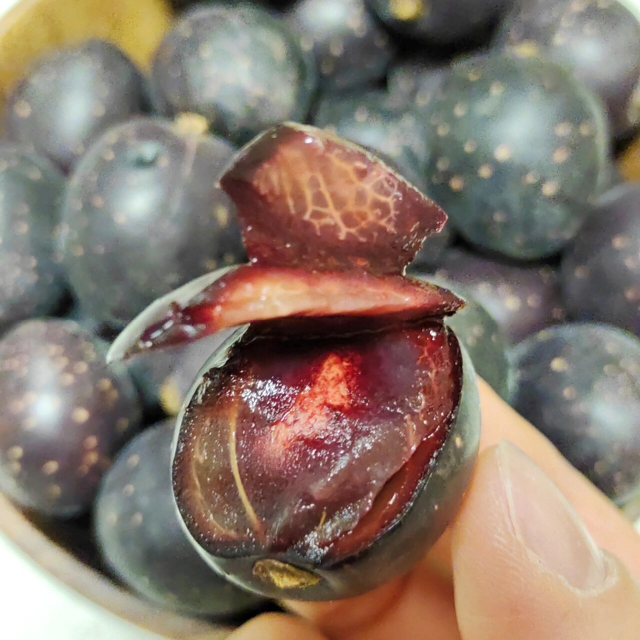 果子果子day159 胭脂果～又称鬼眼睛果,它的汁像胭脂一样的红.