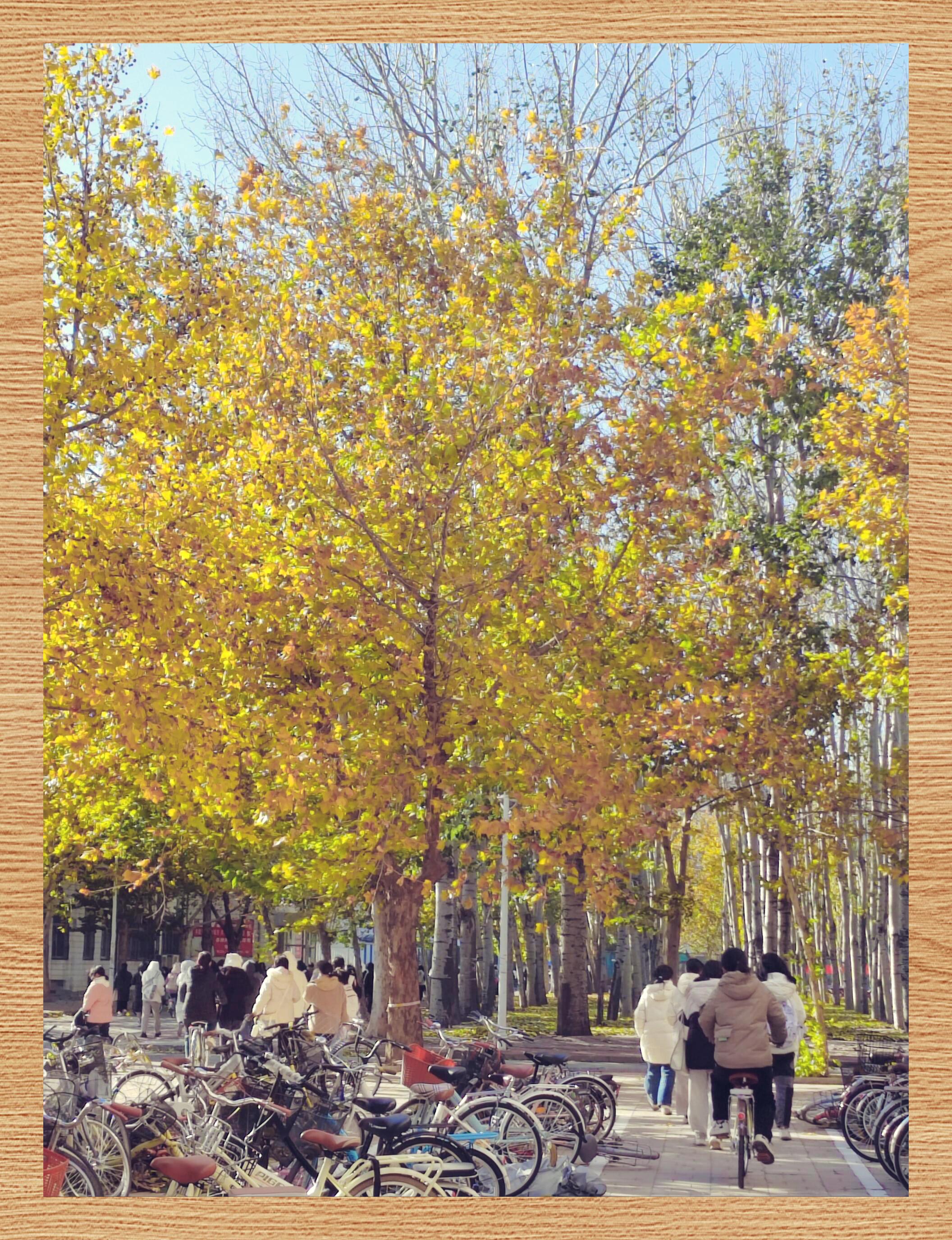 廊坊师范学院简介