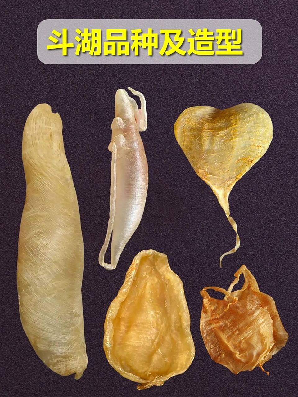 市场不同斗湖鱼胶图片大全 斗湖是一种比较常见的鱼胶品种,主要按产地