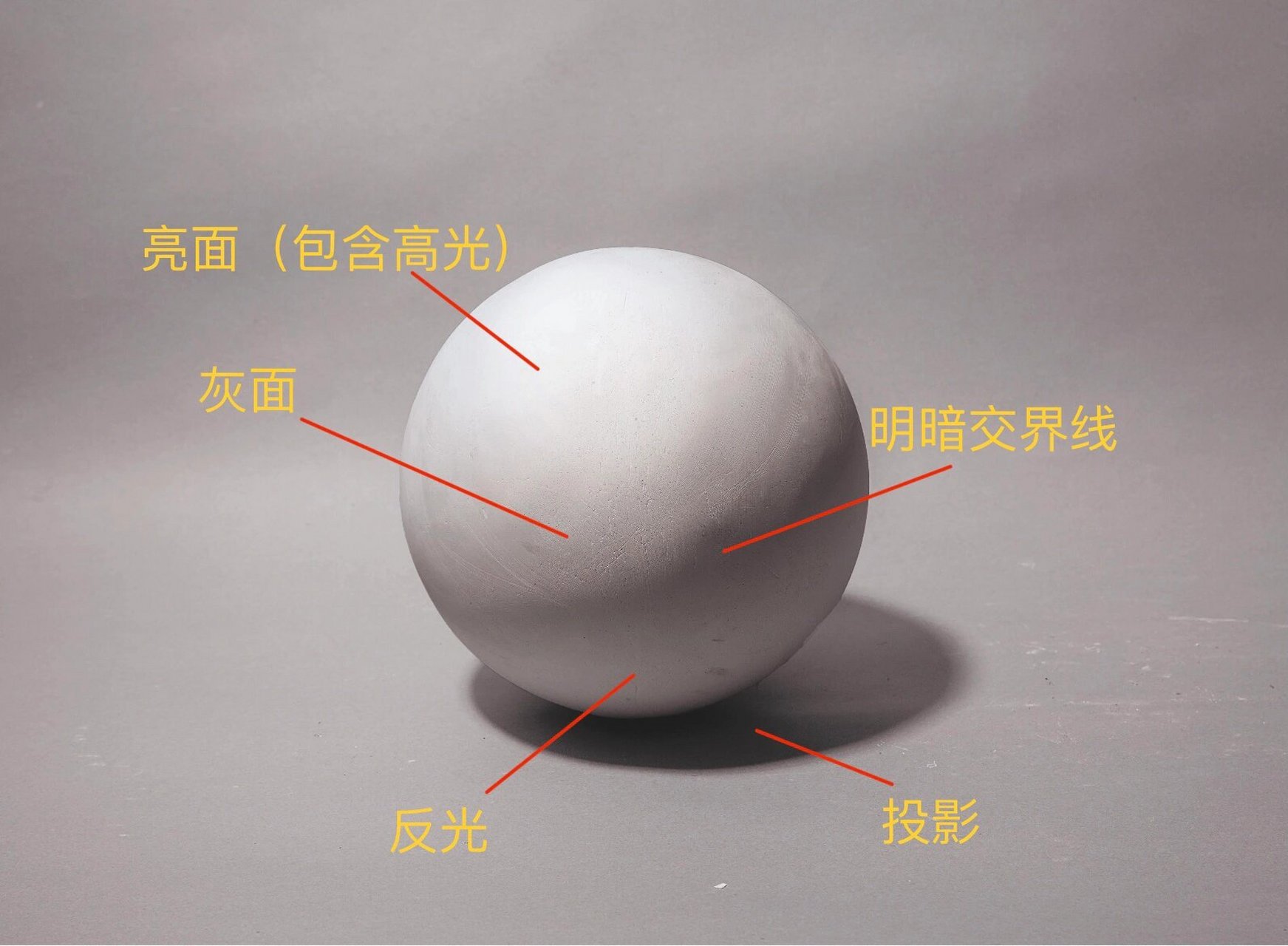 素描中的三大面五大调子 明暗素描中的三大面是指:亮面,灰面,暗面.