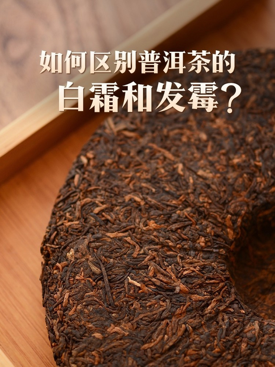 如何区别普洱茶的白霜和发霉?