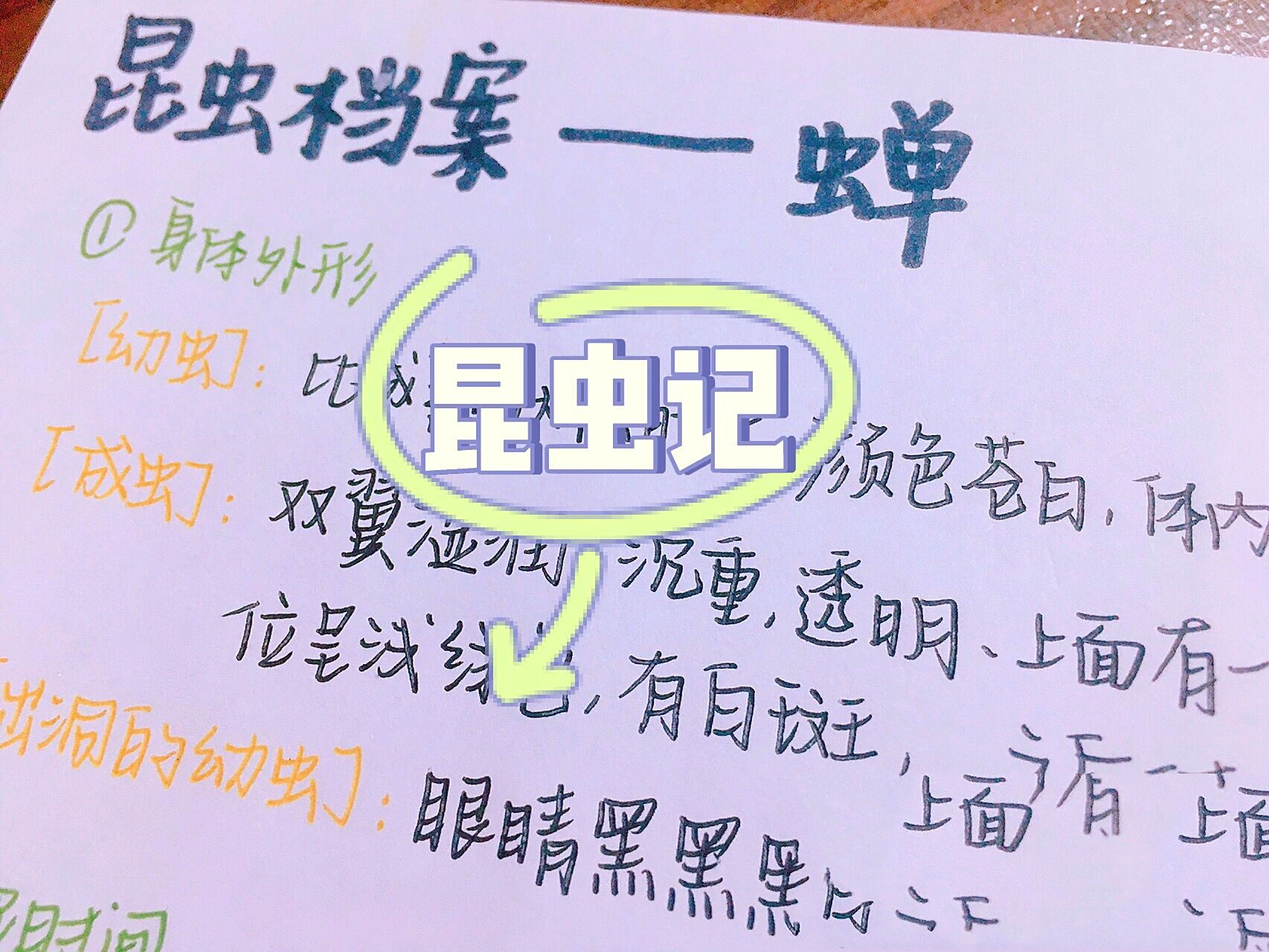 《昆虫记》昆虫档案——蝉,螳螂,大孔雀蝴蝶