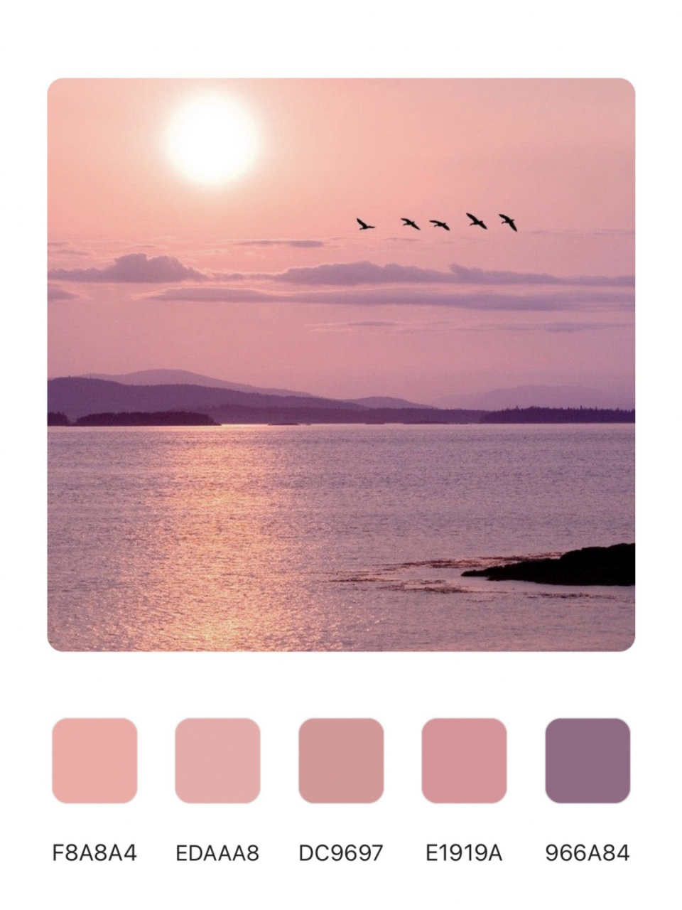 肉粉色渐变 #配色灵感 #审美提升 #来自星星的艺术家