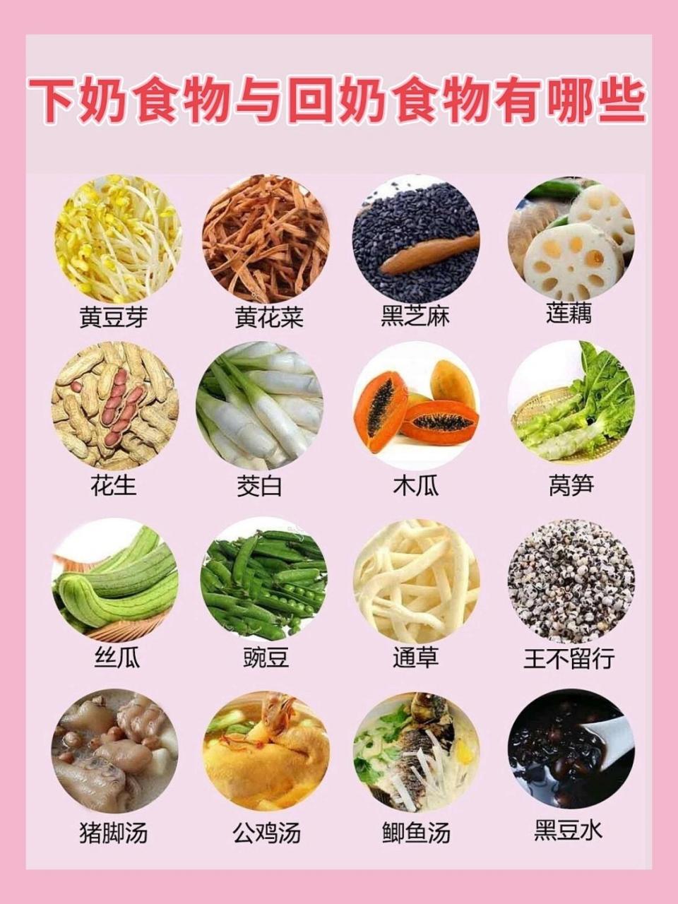 催奶食物图片