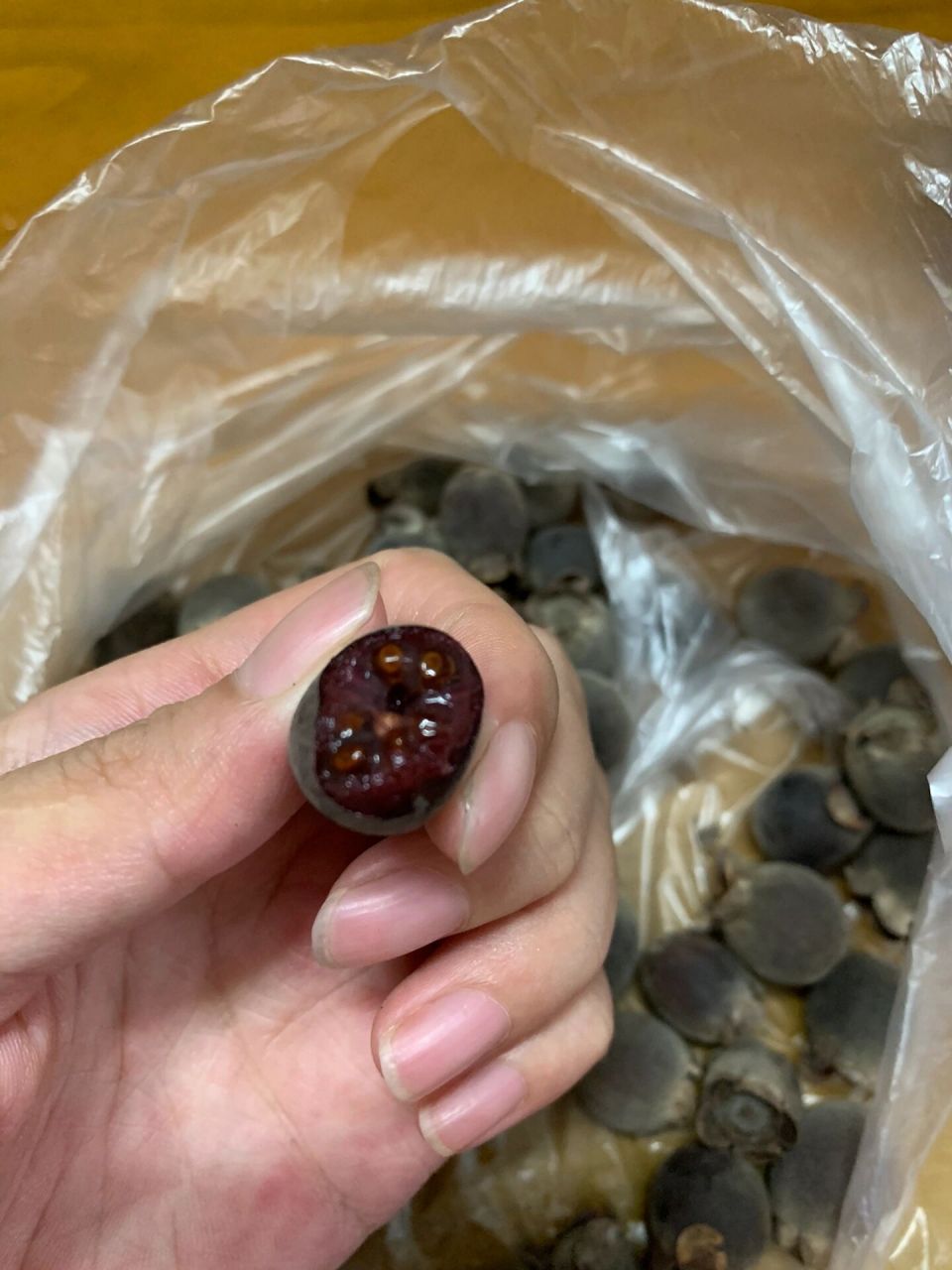 广东野生捻子新鲜水果山捻子多尼果山稔子 广东野生捻子新鲜水果山