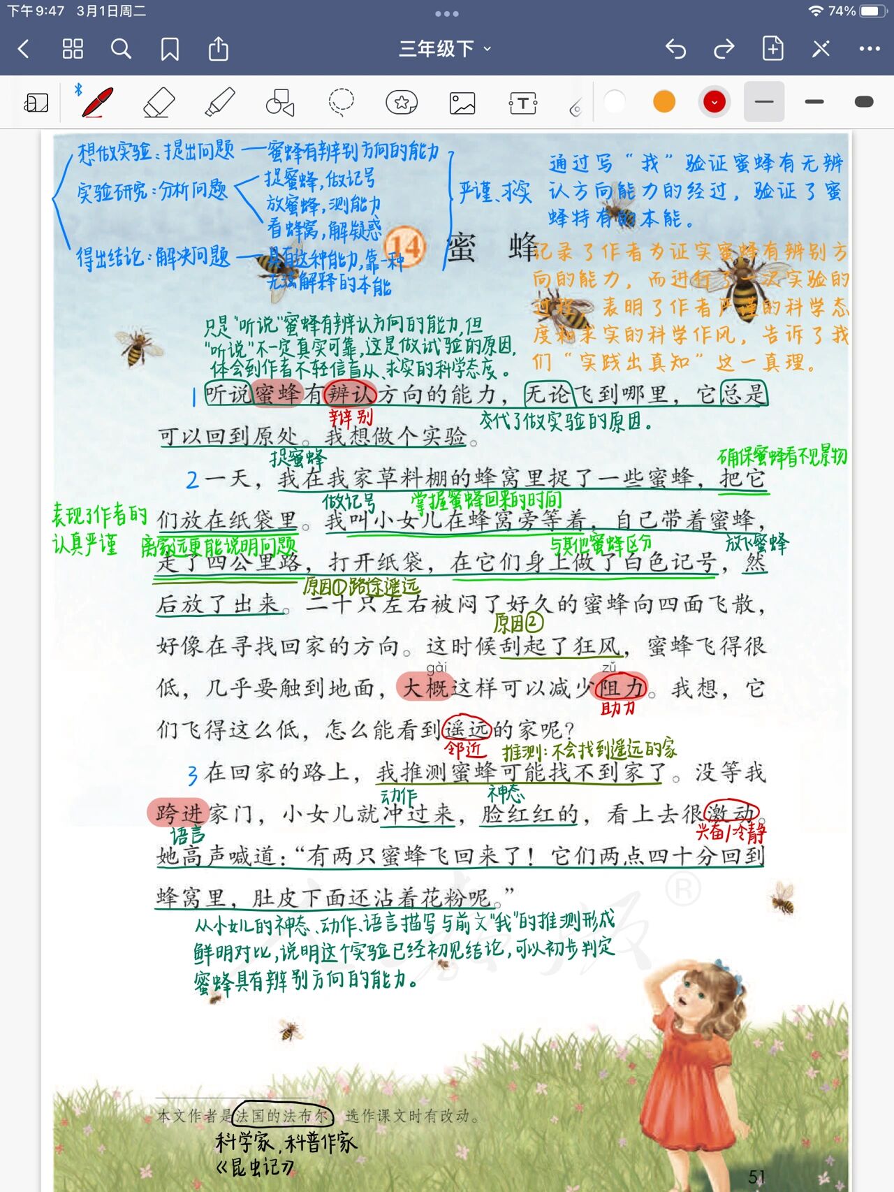 三年级语文下册 第14课《蜜蜂