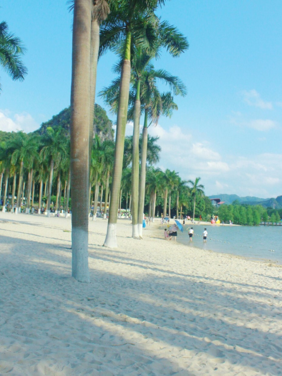 武鸣花花大世界|爱琴海|南宁周边拍照 花花大世界我也是第一次来,算是