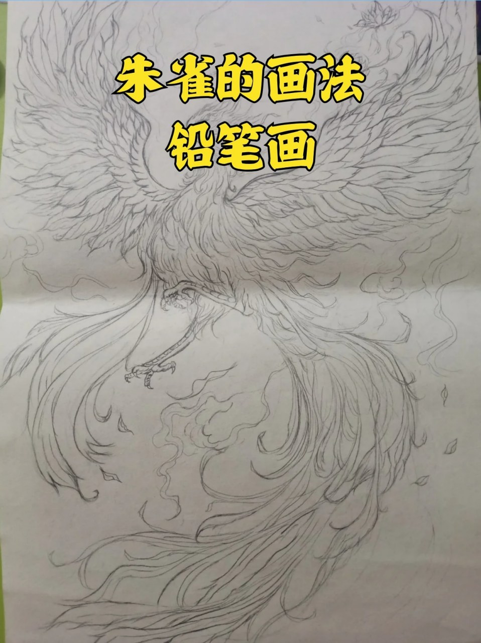 朱雀铅笔画图片