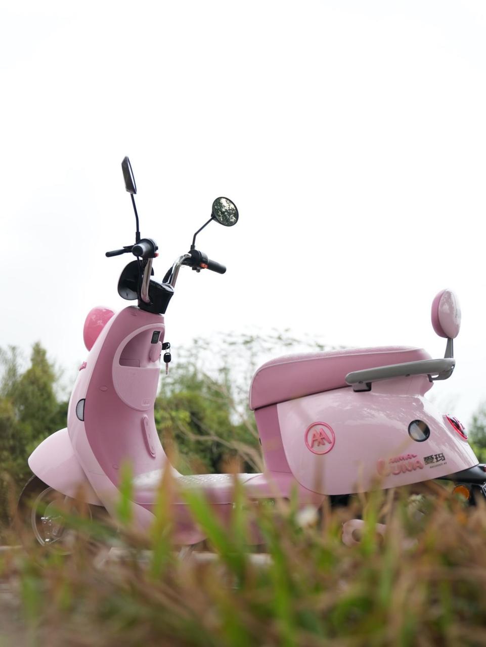 爱玛露娜2024 爱玛电动车旗舰店 总有一款适合你