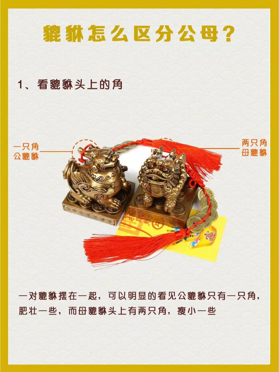 貔貅也有公母之分993种方法教你辨别公母 貔貅中的"貔"为雄性而"貅"