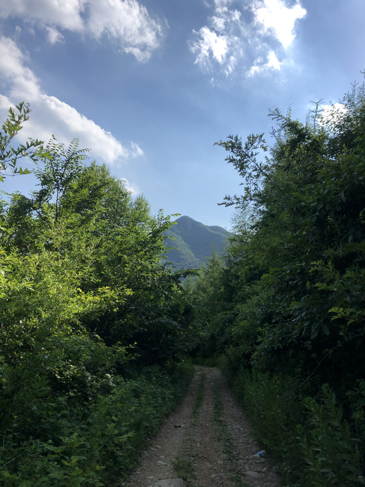 辽阳暴马川风景区门票图片