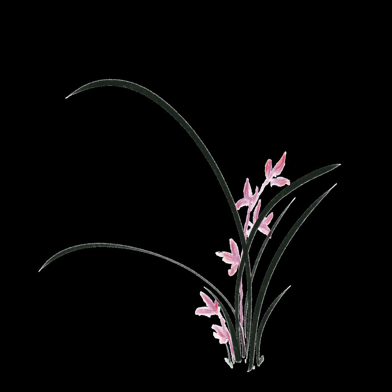 免抠素材‖水墨兰花 兰花是花中四君子之一959595兰花,花色淡雅