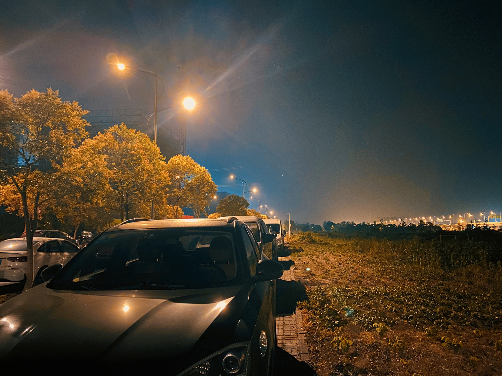 一个人的夜景 浓浓的夜色里,昏黄的街灯下 总有想像不到的美,和你不期