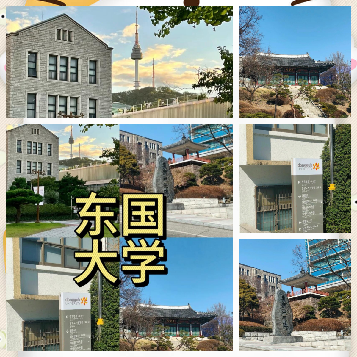 韩国东国大学校徽图片