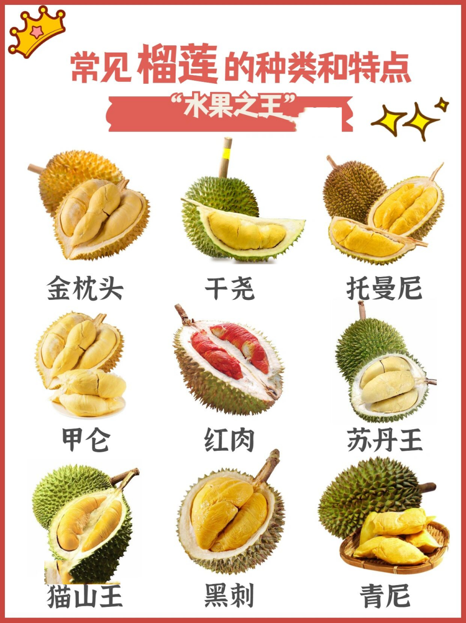 图26615~图4661597不同榴莲的特点 图5661597