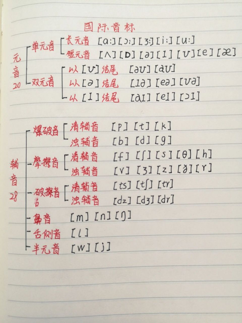 48个音标完整图谐音图片