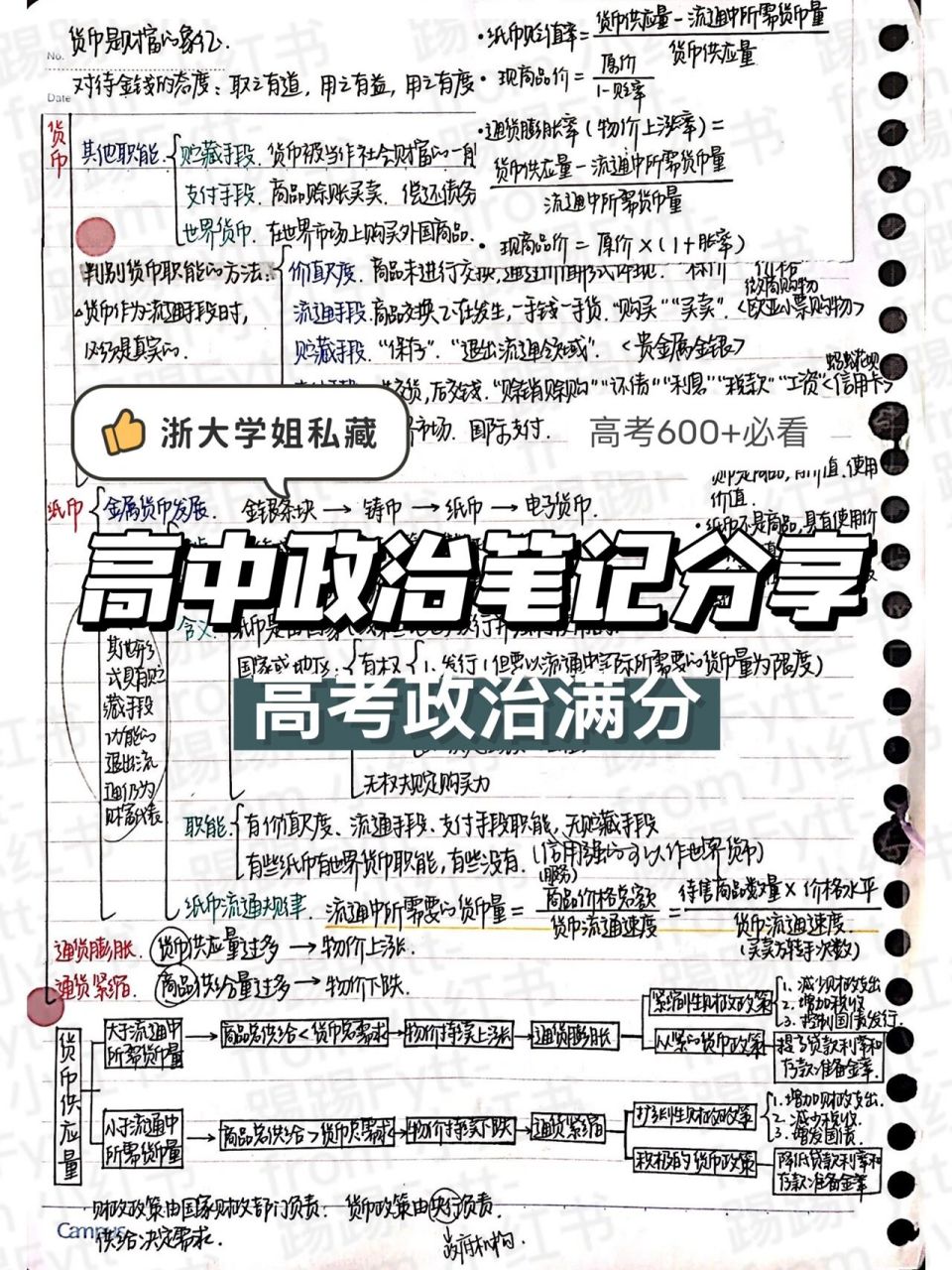 政治必修二|公民的权利与义务 高中政治笔记|政治生活|公民|国体与