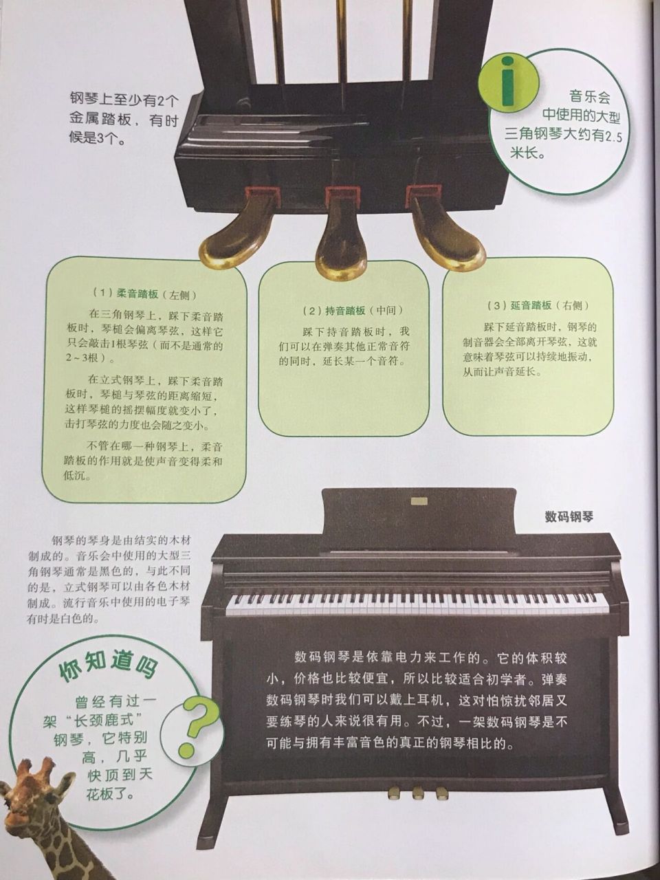 钢琴踏板分别叫什么?你知道没吗