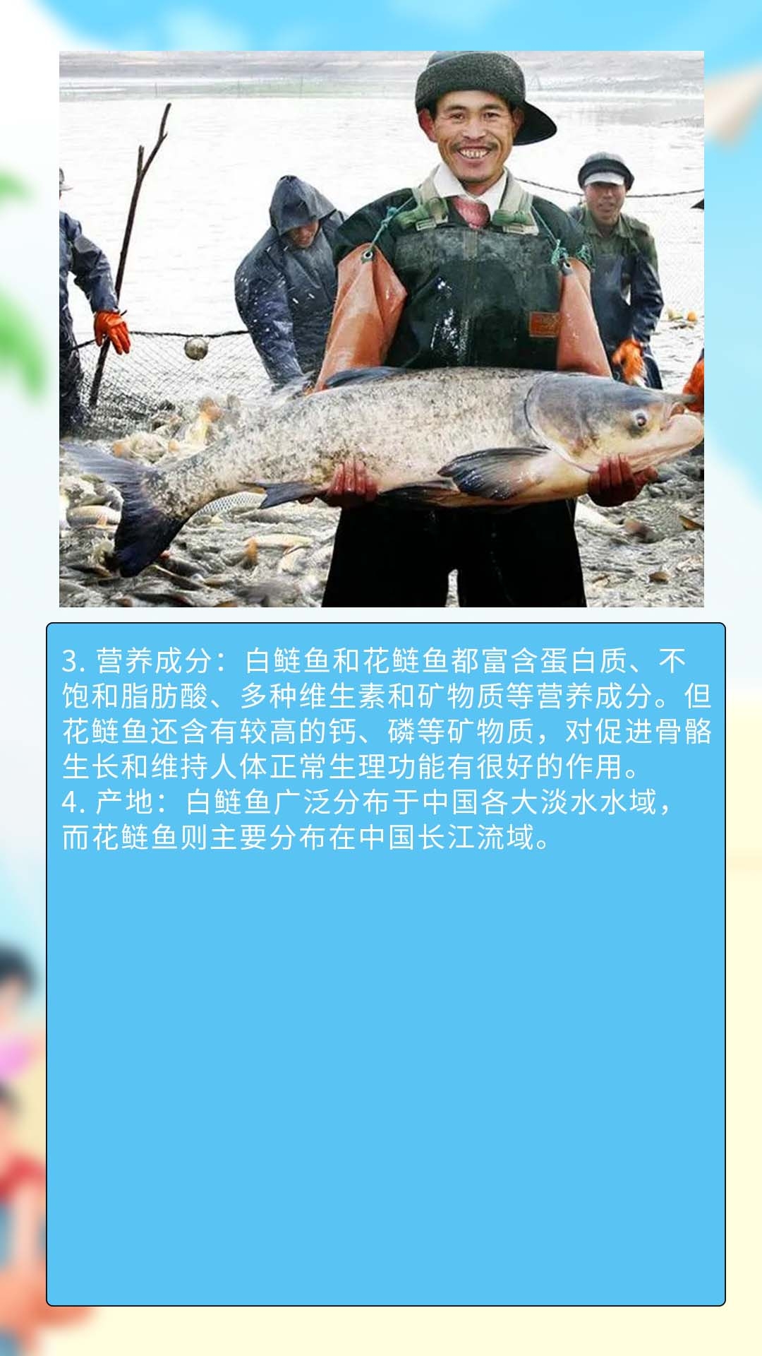 花鲢鱼的鱼头较大,鱼身较短,颜色偏黑.
