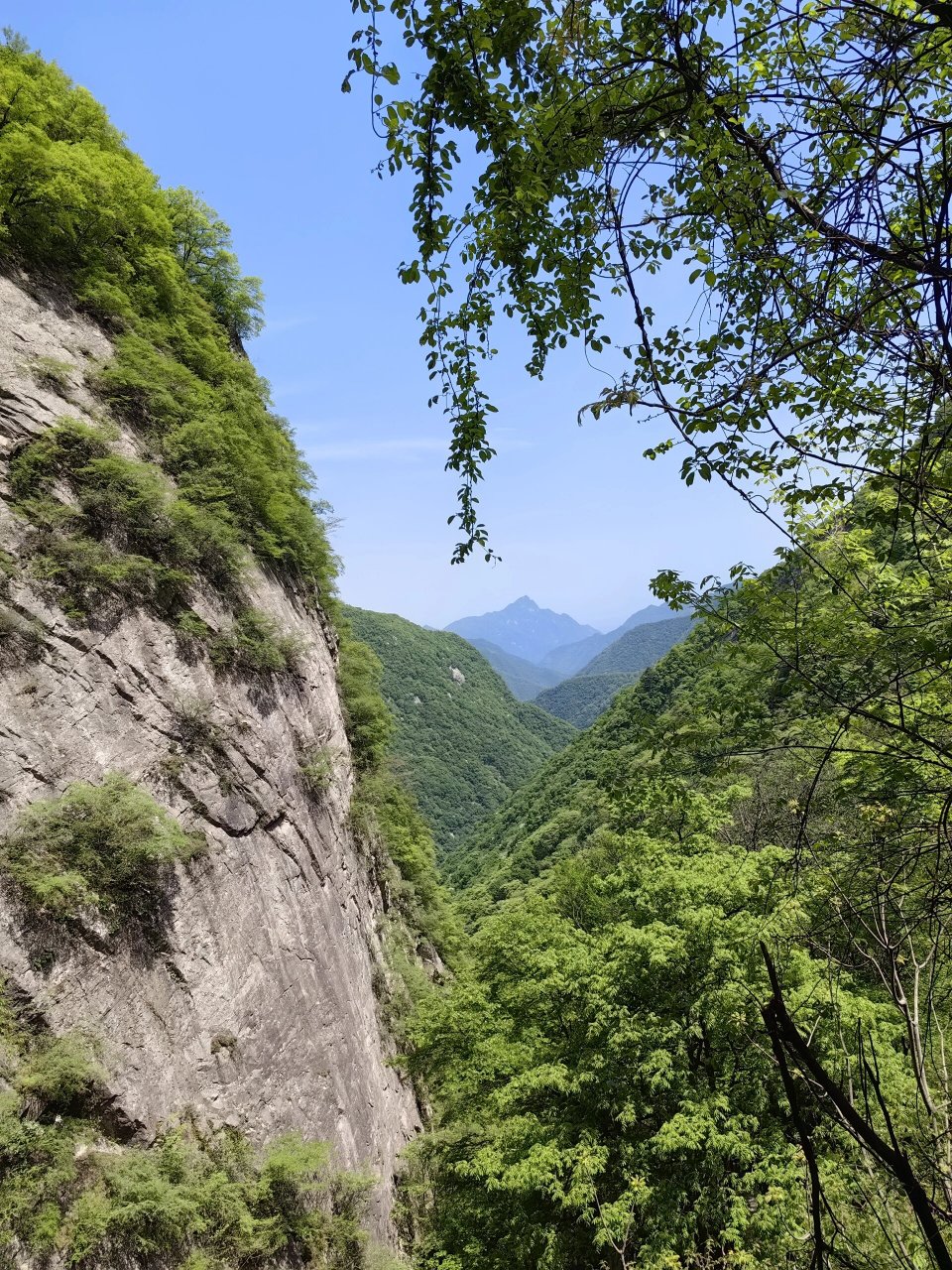 太平国家森林公园图片