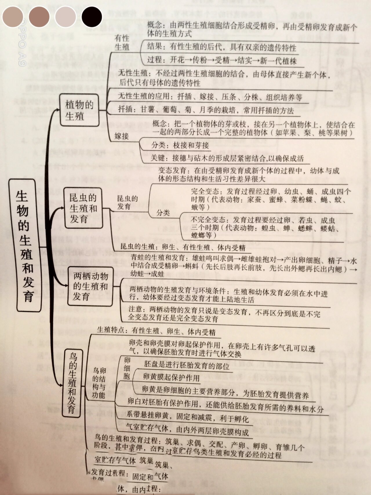 八下生物知识思维导图