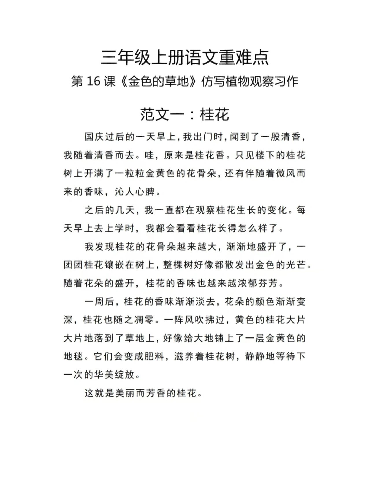 观察植物的小练笔200字(观察植物小练笔200字作文三年级下册)
