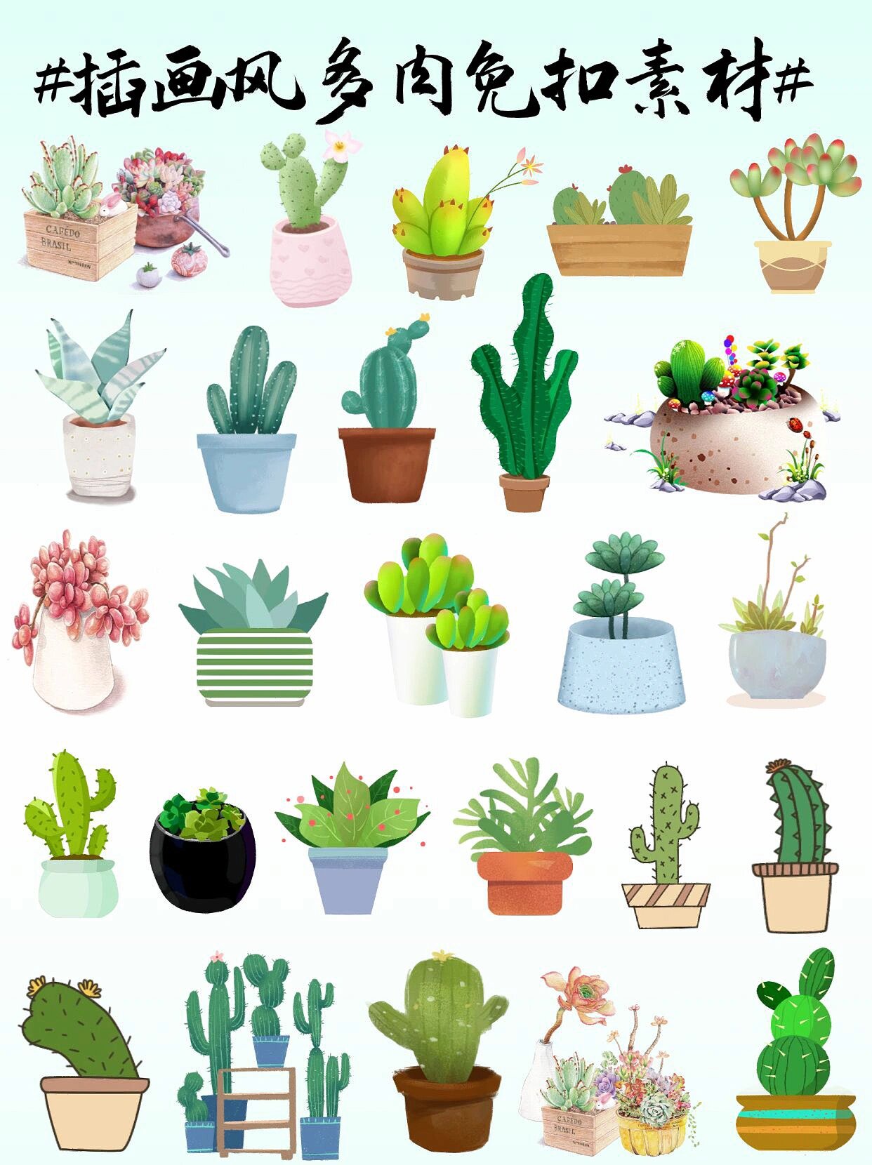 免扣素材|插画风多肉绿植盆栽00png免扣素材