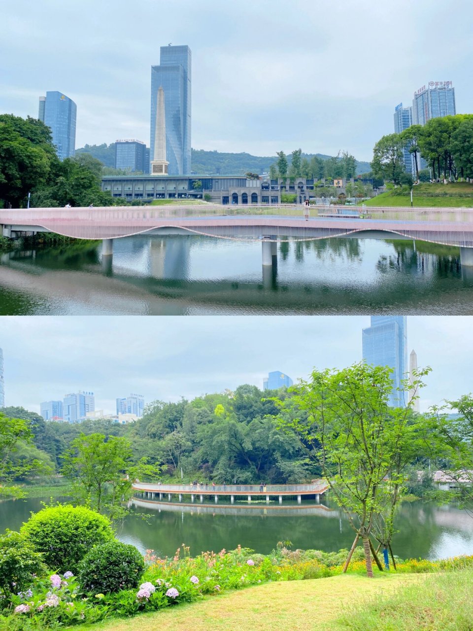 重庆公园|这个周末就来百林公园看绣球花吧 912022年6月5日 本来想