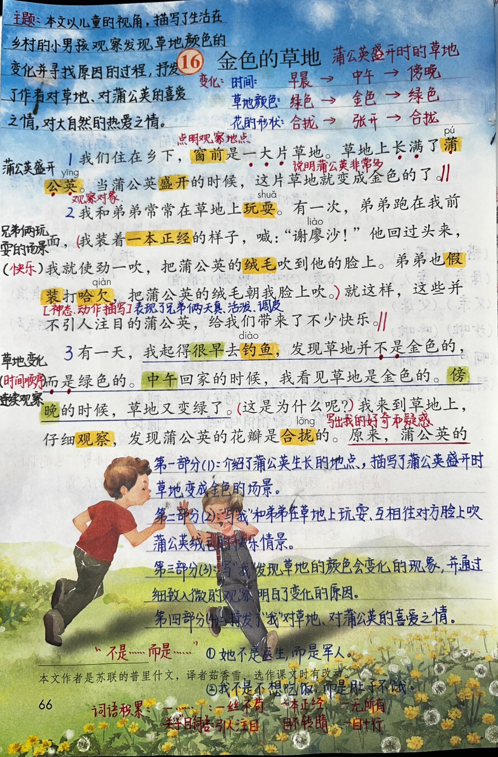 金色的草地生字图片