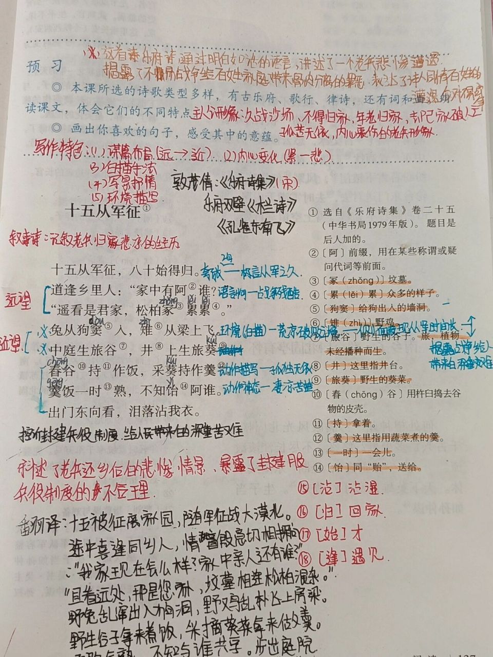 十五从军征九年级下册图片