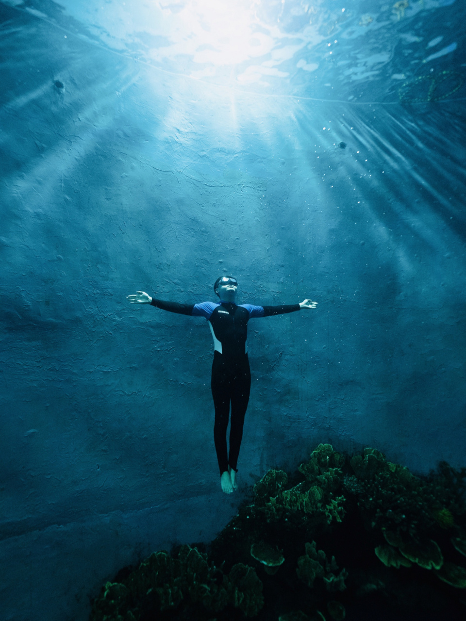 苏州海洋馆自由潜水长期招生啦!