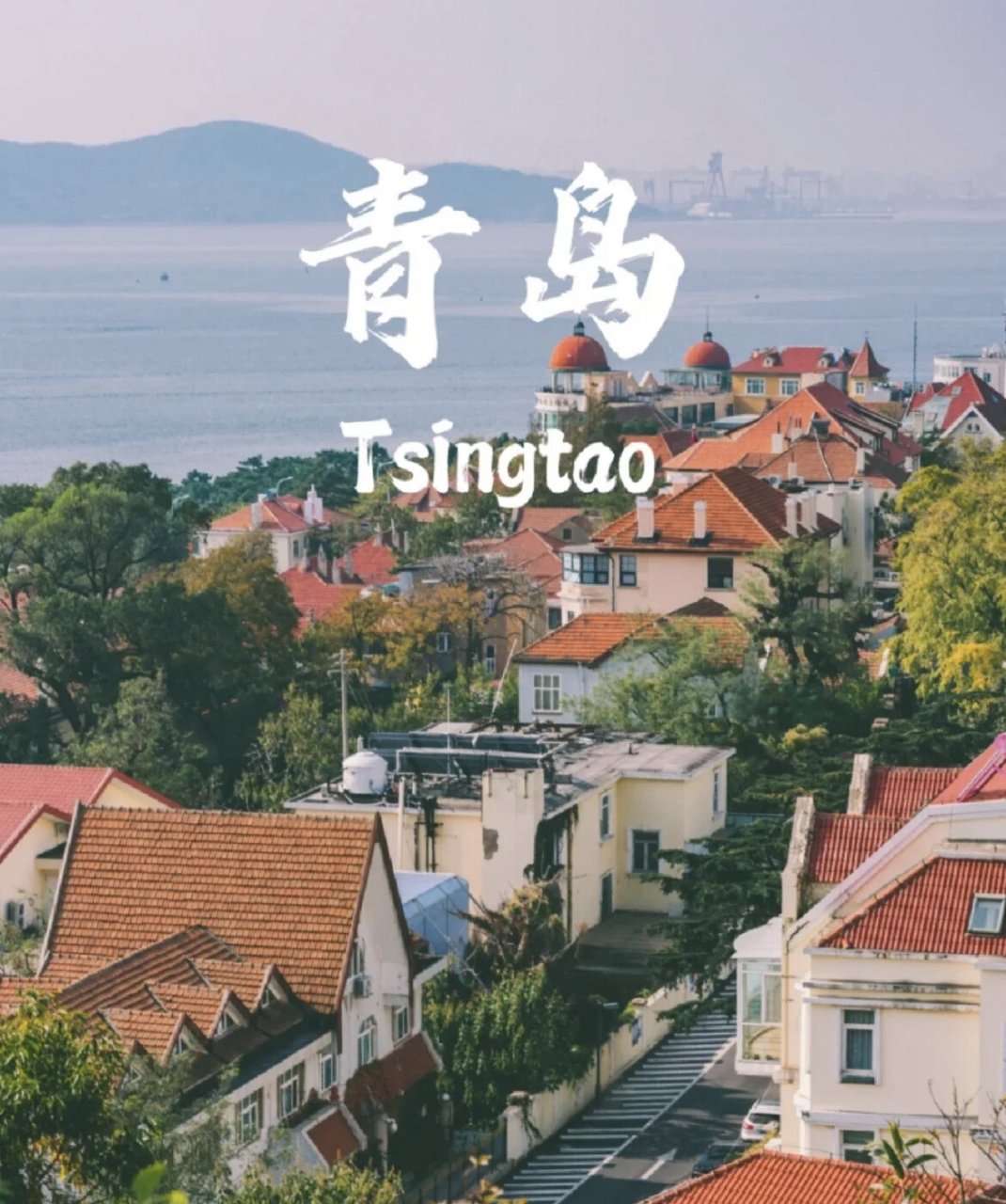 青岛/哈尔滨.哪个更宜居 想换个城市生活了.最后纠结哈尔滨和青岛.