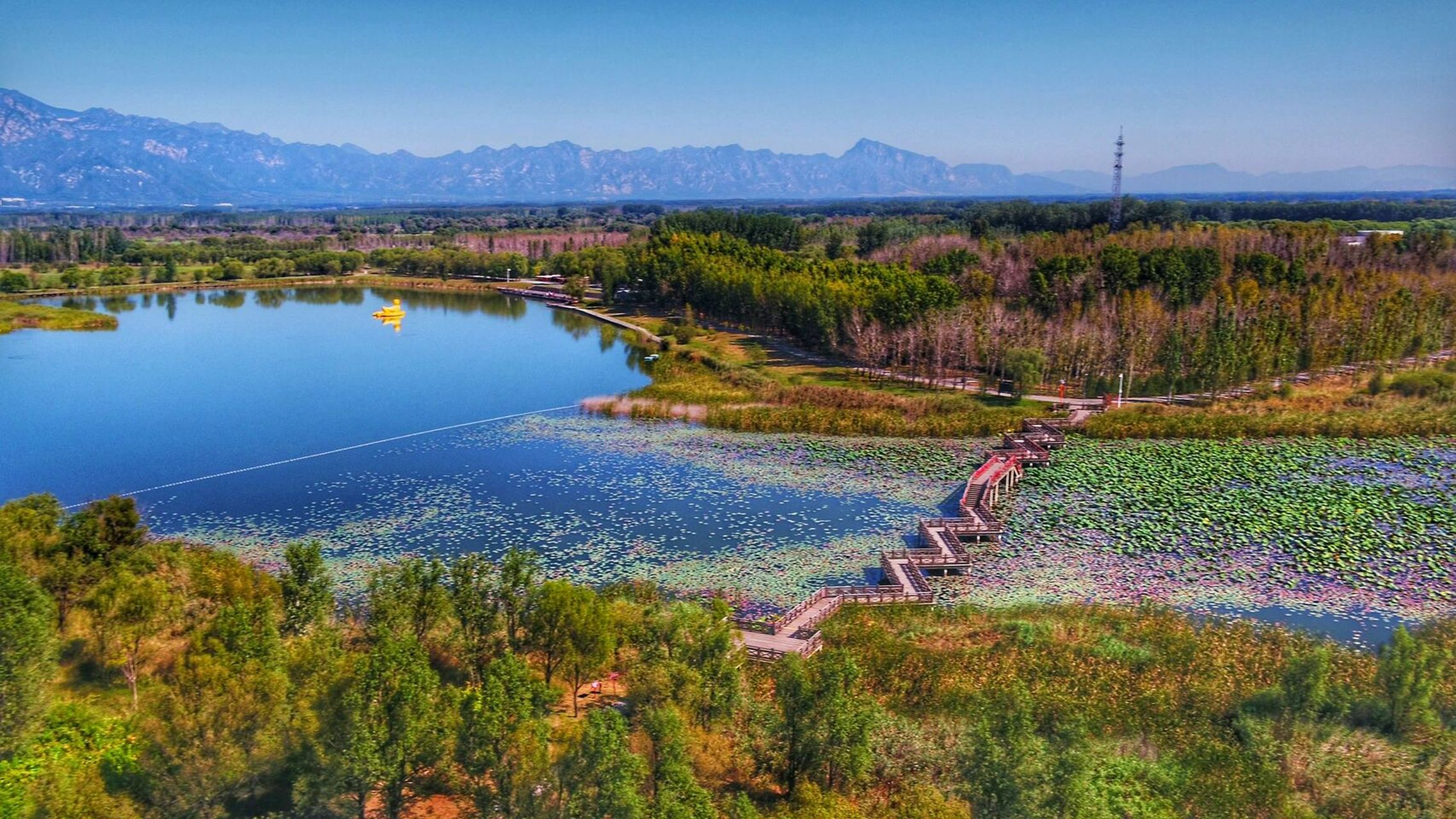 郭家河湿地公园图片