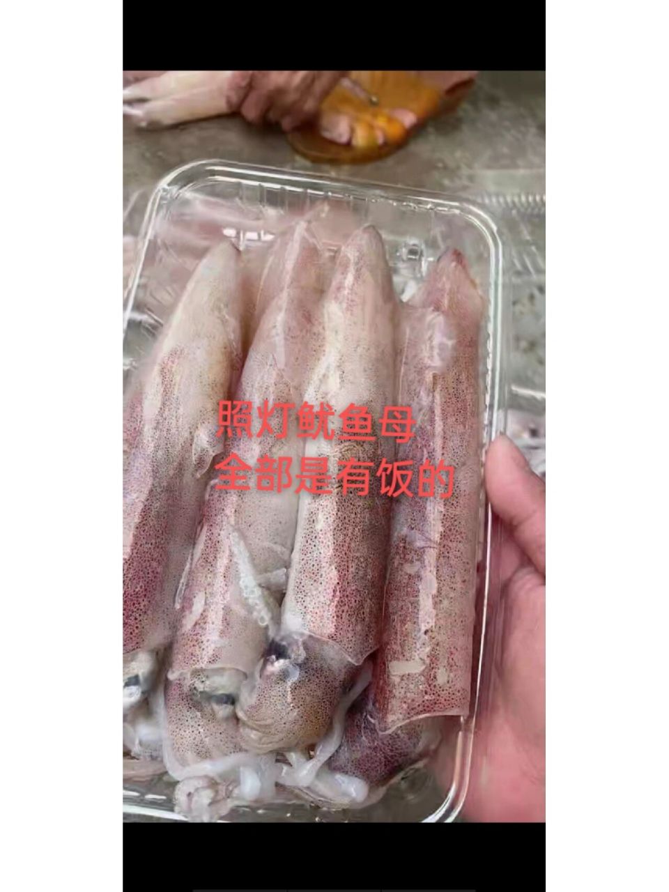 翅鱼 黄立鱼又名"黄脚腊",学名"黄鳍鲷" 由于富含粗蛋白,蛋氨酸等营养