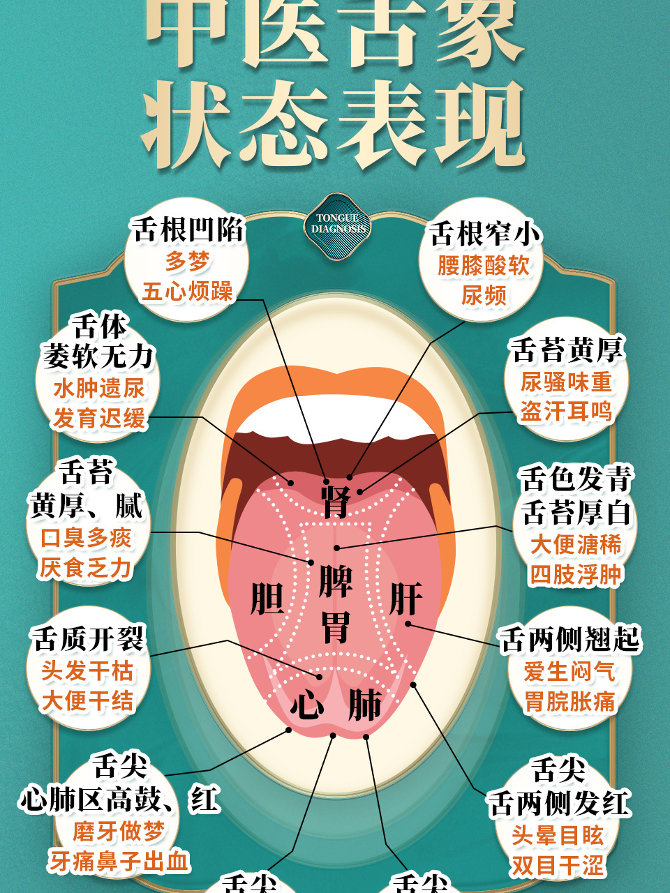 中医舌诊 中医望舌识病,调理未病 中医有句话就做望而知之谓之神!