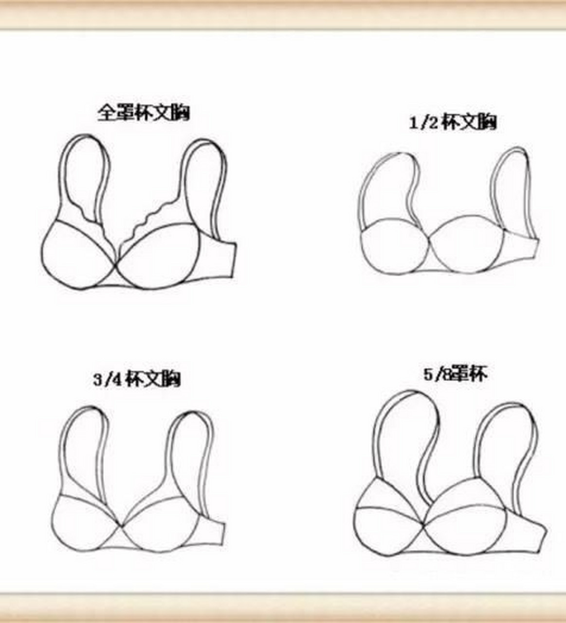 关于内衣罩杯的类型全教程 其实内衣的种类普遍都围绕在几个主要元素