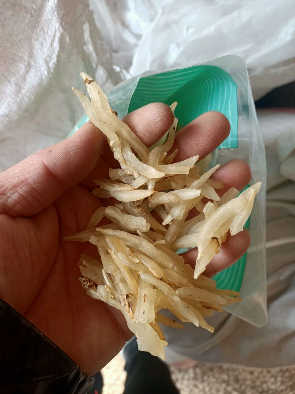 每天一味中药材-天门冬 天门冬是一个中药材,天门冬也就是天冬,属于